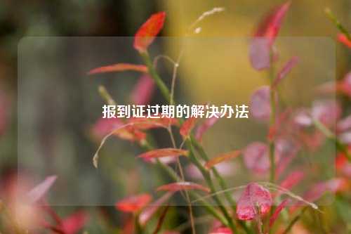 报到证过期的解决办法
