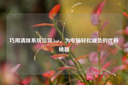 巧用清除系统垃圾.bat，为电脑轻松减负的代码秘籍