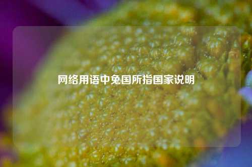 网络用语中兔国所指国家说明