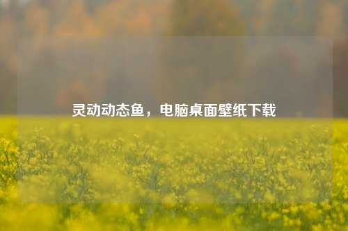 灵动动态鱼，电脑桌面壁纸下载