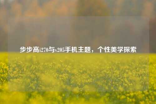 步步高i270与v205手机主题，个性美学探索