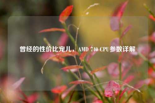 曾经的性价比宠儿，AMD 740 CPU参数详解