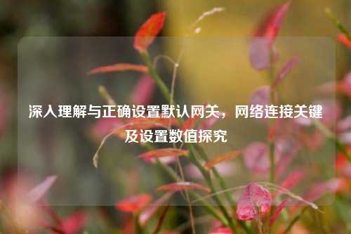 深入理解与正确设置默认网关，网络连接关键及设置数值探究