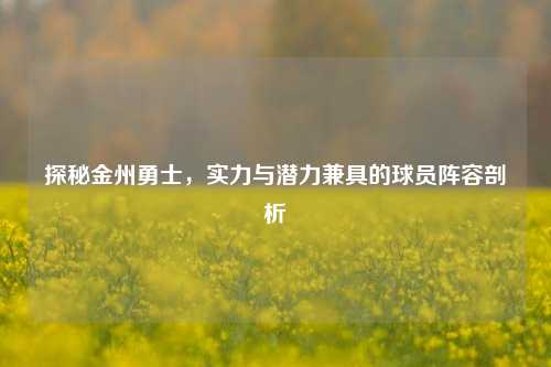 探秘金州勇士，实力与潜力兼具的球员阵容剖析