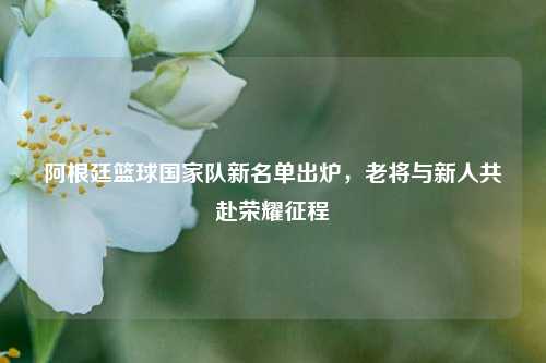 阿根廷篮球国家队新名单出炉，老将与新人共赴荣耀征程