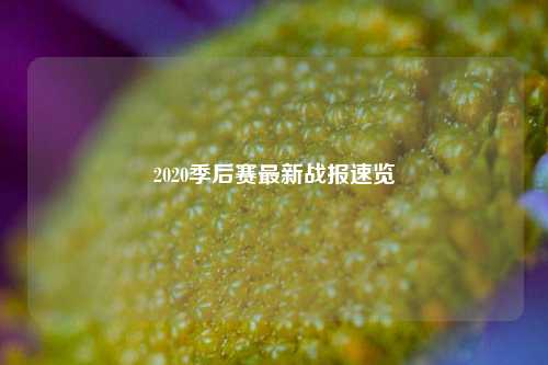 2020季后赛最新战报速览