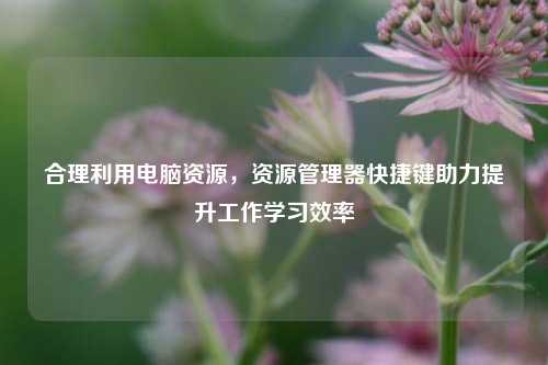 合理利用电脑资源，资源管理器快捷键助力提升工作学习效率