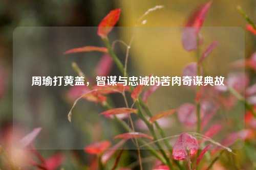 周瑜打黄盖，智谋与忠诚的苦肉奇谋典故