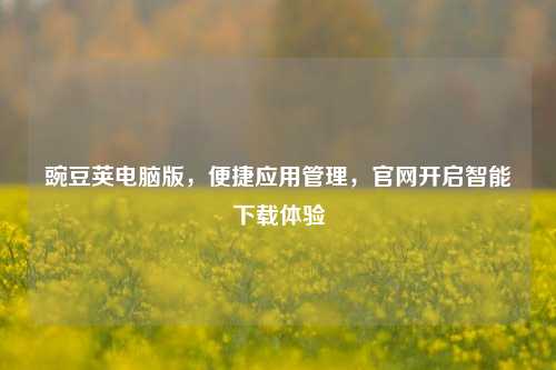 豌豆荚电脑版，便捷应用管理，官网开启智能下载体验