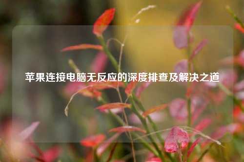 苹果连接电脑无反应的深度排查及解决之道