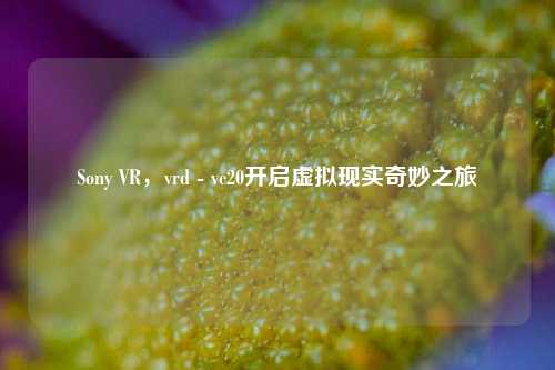 Sony VR，vrd - vc20开启虚拟现实奇妙之旅