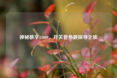 神秘数字13009，开关管参数探寻之旅