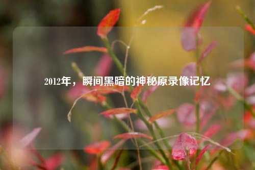 2012年，瞬间黑暗的神秘原录像记忆
