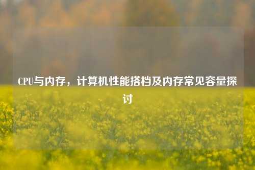 CPU与内存，计算机性能搭档及内存常见容量探讨