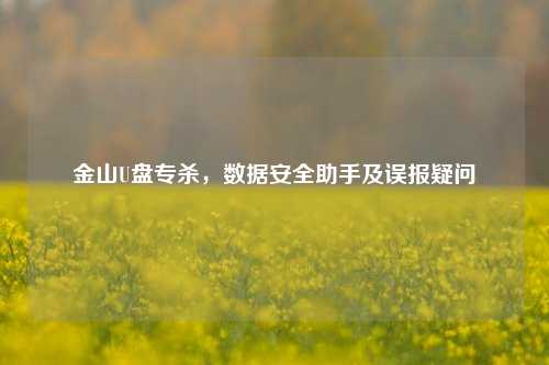 金山U盘专杀,数据安全助手及误报疑问