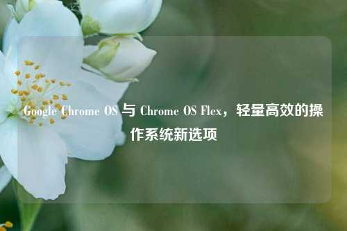 Google Chrome OS 与 Chrome OS Flex,轻量高效的操作系统新选项