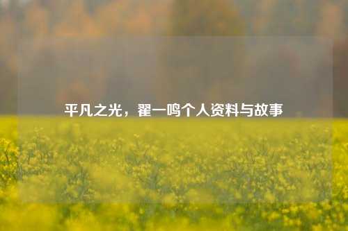 平凡之光，翟一鸣个人资料与故事