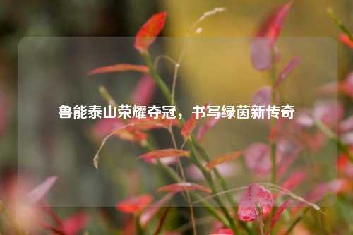 鲁能泰山荣耀夺冠，书写绿茵新传奇