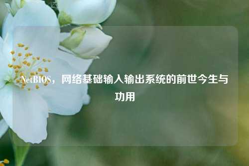 NetBIOS,网络基础输入输出系统的前世今生与功用