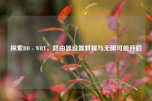 探索DD - WRT，路由器设置教程与无限可能开启