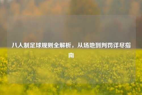 八人制足球规则全解析,从场地到判罚详尽指南