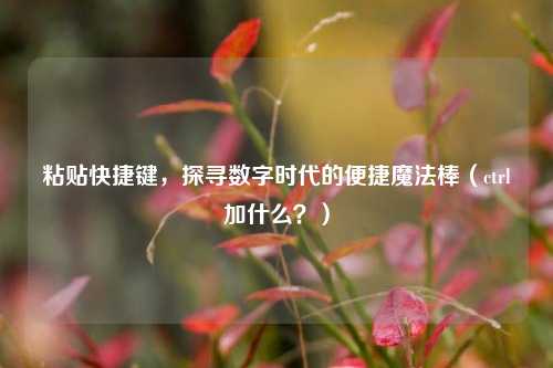粘贴快捷键，探寻数字时代的便捷魔法棒（ctrl加什么？）
