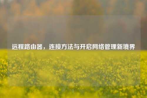 远程路由器，连接方法与开启网络管理新境界