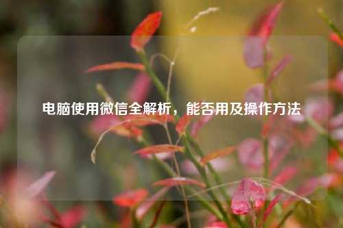 电脑使用微信全解析,能否用及操作方法