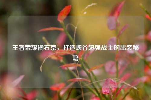 王者荣耀橘右京，打造峡谷超强战士的出装秘籍
