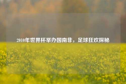 2010年世界杯举办国南非，足球狂欢探秘