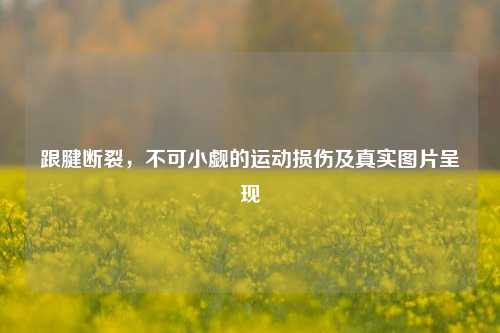 跟腱断裂，不可小觑的运动损伤及真实图片呈现