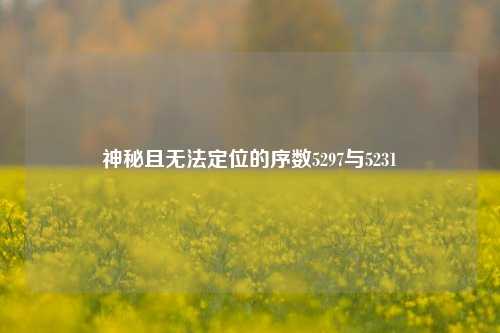 神秘且无法定位的序数5297与5231