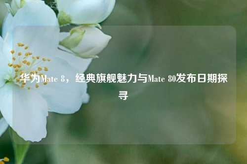 华为Mate 8，经典旗舰魅力与Mate 80发布日期探寻