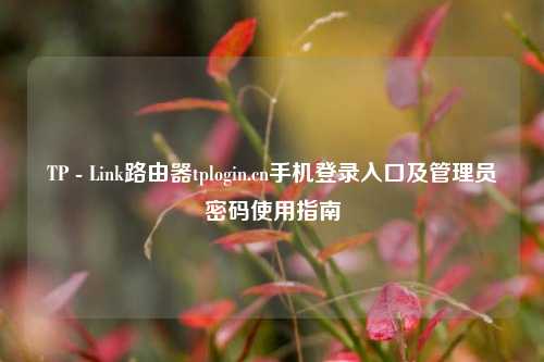TP - Link路由器tplogin.cn手机登录入口及管理员密码使用指南