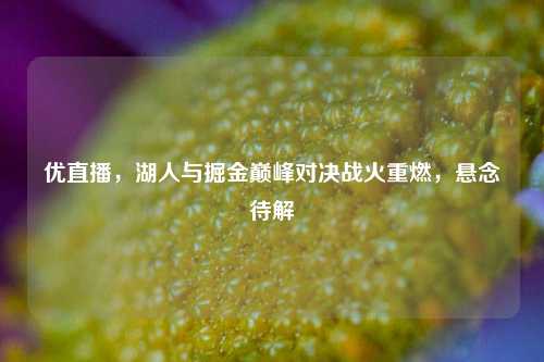 优直播，湖人与掘金巅峰对决战火重燃，悬念待解