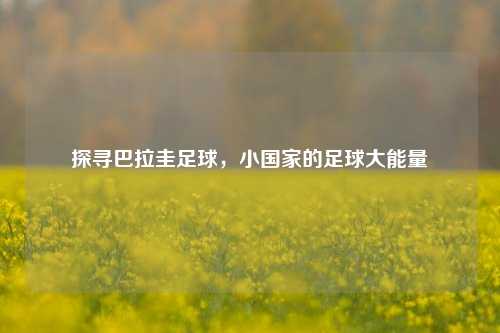 探寻巴拉圭足球,小国家的足球大能量