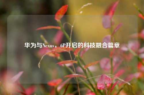 华为与Nexus,6P开启的科技融合篇章