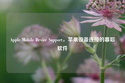 Apple Mobile Device Support，苹果设备连接的幕后软件
