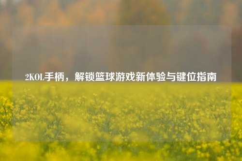 2KOL手柄,解锁篮球游戏新体验与键位指南