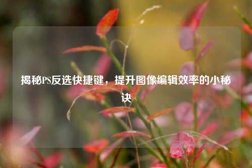 揭秘PS反选快捷键，提升图像编辑效率的小秘诀