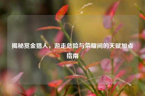 揭秘赏金猎人，游走危险与荣耀间的天赋加点指南