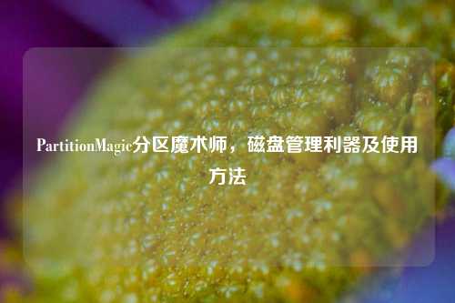 PartitionMagic分区魔术师,磁盘管理利器及使用方法
