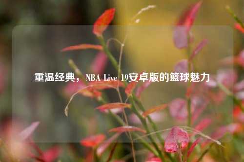 重温经典，NBA Live 19安卓版的篮球魅力