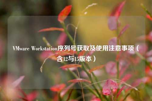VMware Workstation序列号获取及使用注意事项（含12与15版本）