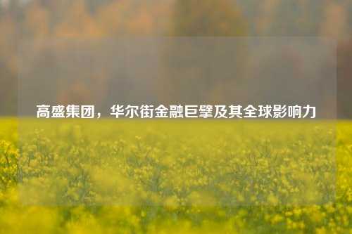高盛集团，华尔街金融巨擘及其全球影响力