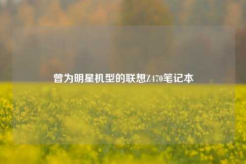 曾为明星机型的联想Z470笔记本