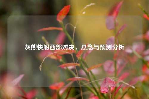 灰熊快船西部对决,悬念与预测分析