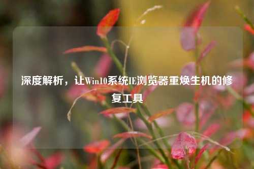 深度解析,让Win10系统IE浏览器重焕生机的修复工具