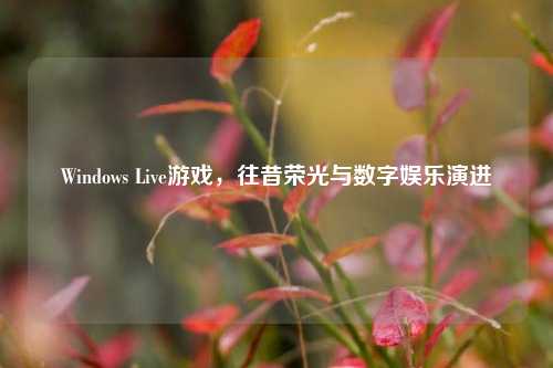 Windows Live游戏，往昔荣光与数字娱乐演进