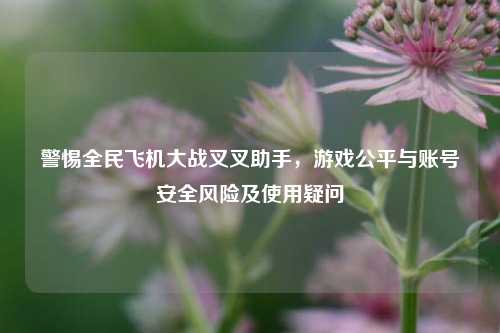 警惕全民飞机大战叉叉助手,游戏公平与账号安全风险及使用疑问